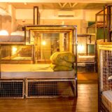 香港へ行くバックパッカー必見！コスパ良しの人気ドミトリー